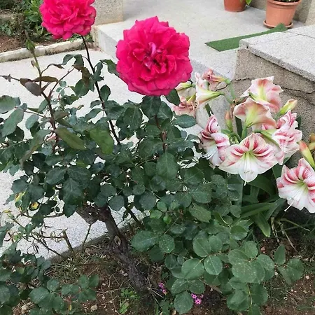 Sarajevo Appartement